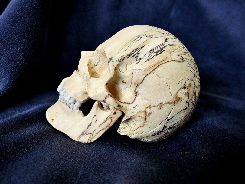 Hand Carved SKULL - Skull #1 - Image 2