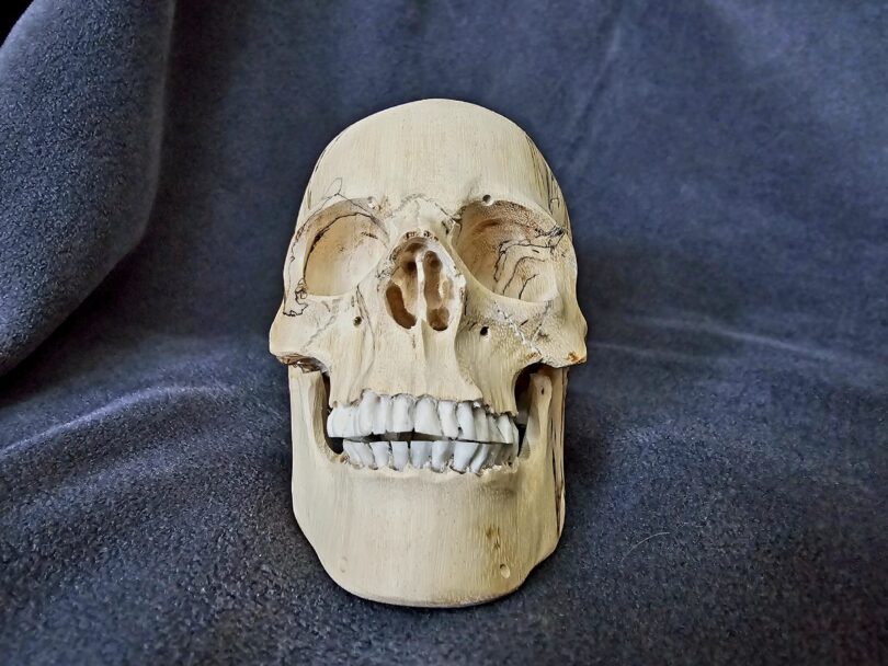 Hand Carved SKULL - Skull #1