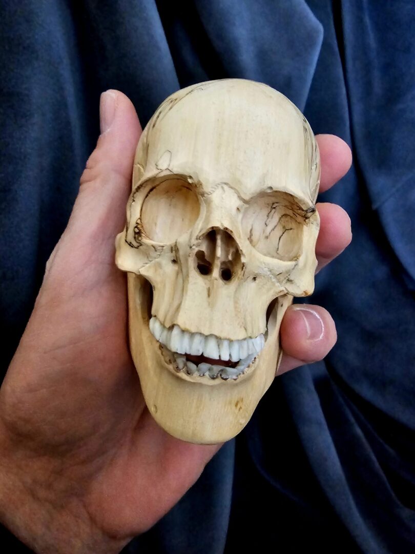 Hand Carved SKULL - Skull #1 - Image 4