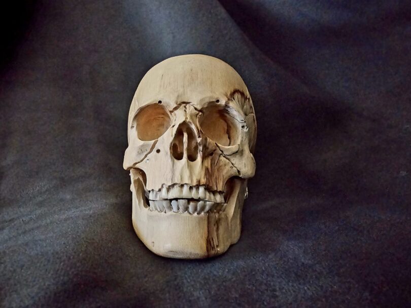 Hand Carved SKULL - Skull #2