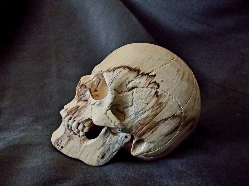 Hand Carved SKULL - Skull #2 - Image 4