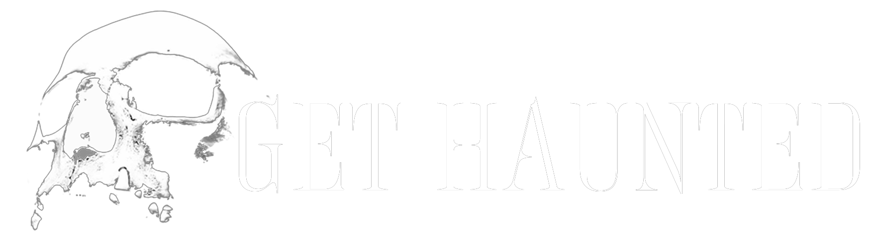 logo-light